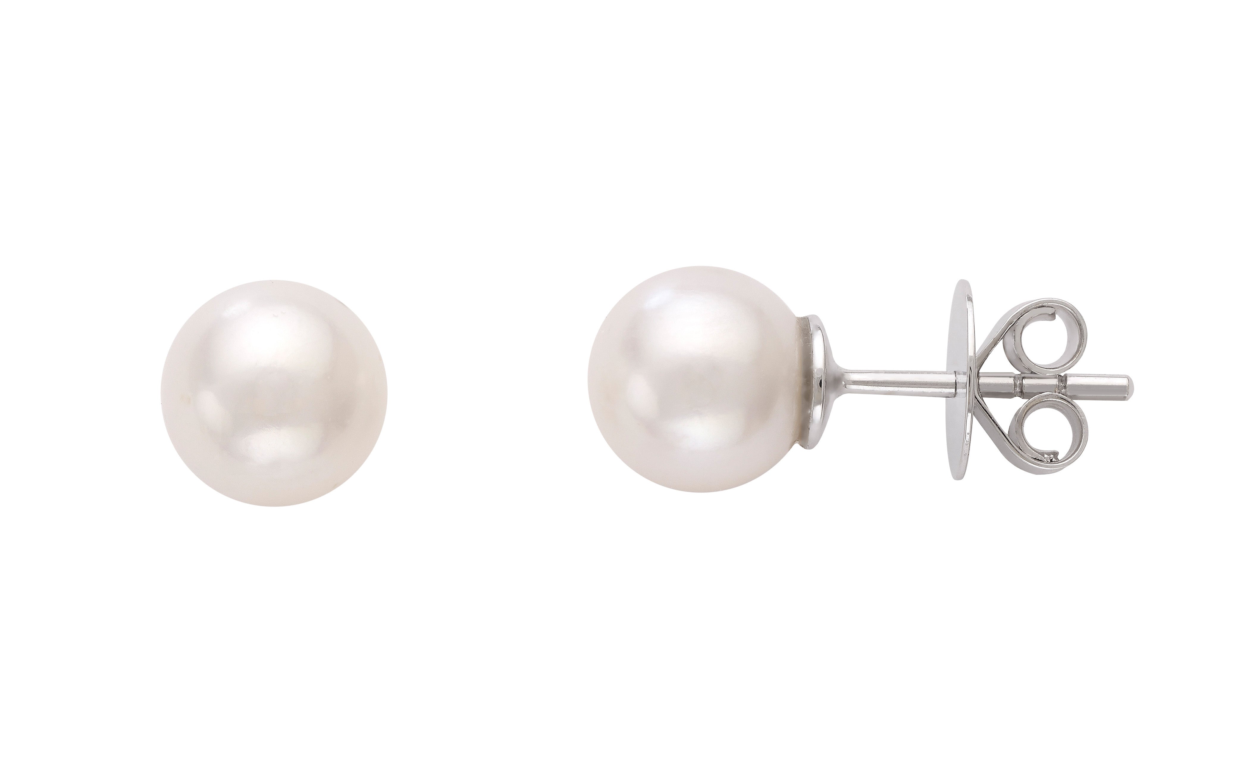 Simple Pearl Earrings - White Gold Devam