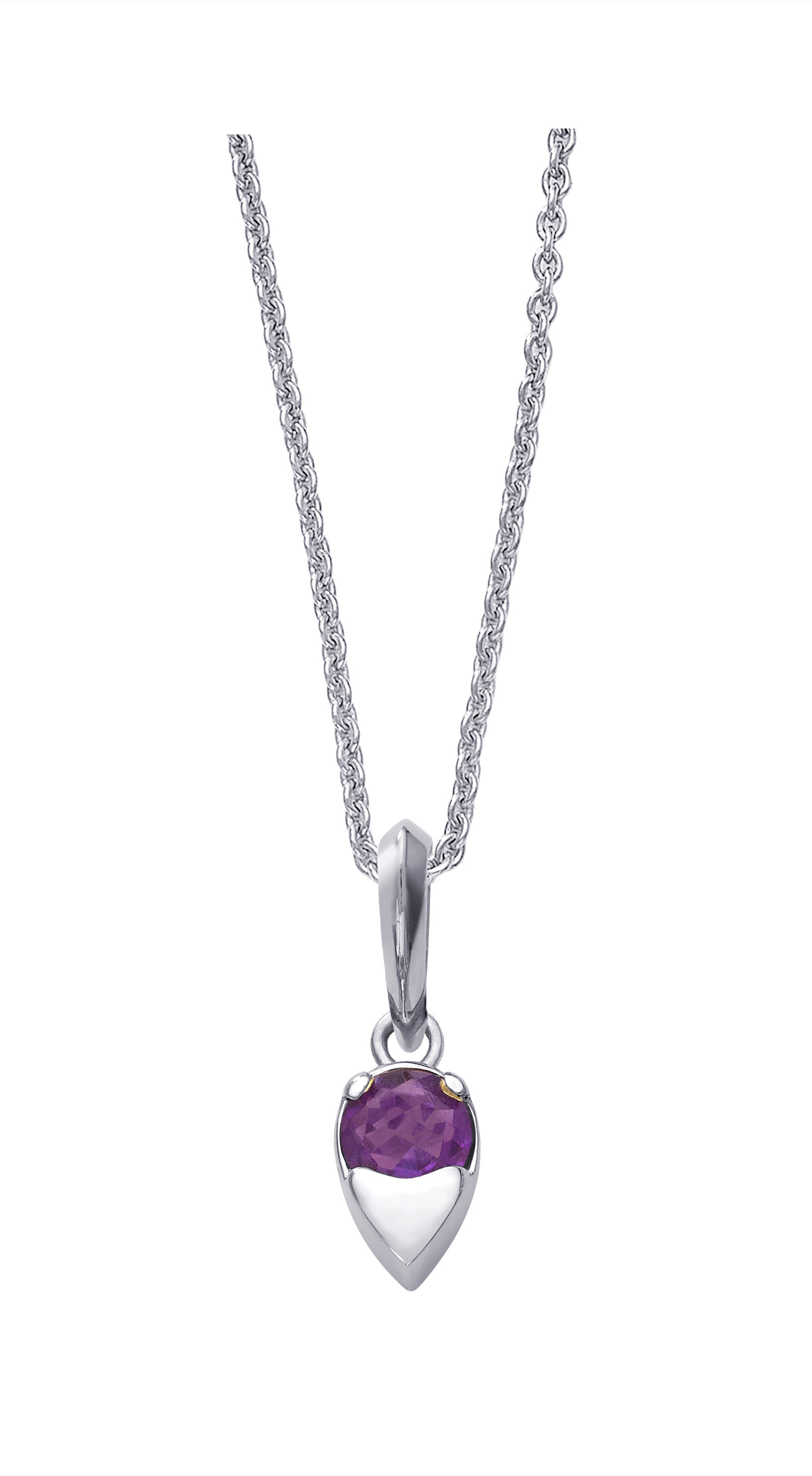 Amethyst Birthstone Pendant - February Devam